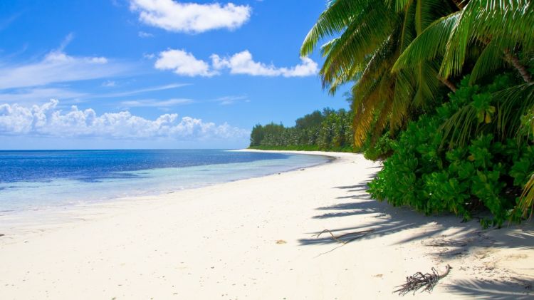 构建企业级网络准入控制：LDAP + FreeRADIUS + 802.1x开源认证解决方案